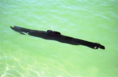 Modelexpo 2004193 (Small).jpg