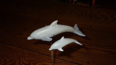 le dauphin et son petit