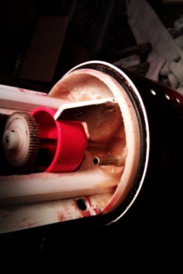 IMAG0612 copress.jpg