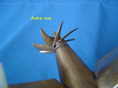 DSC00142 [1024x768].JPG