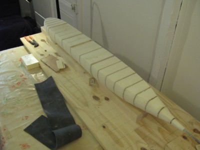 IMG_1773.JPG (132.04 Kio) Consulté 3027 fois vu du plan de flotaison