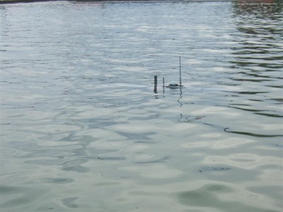 DSCF8422 (Large).JPG